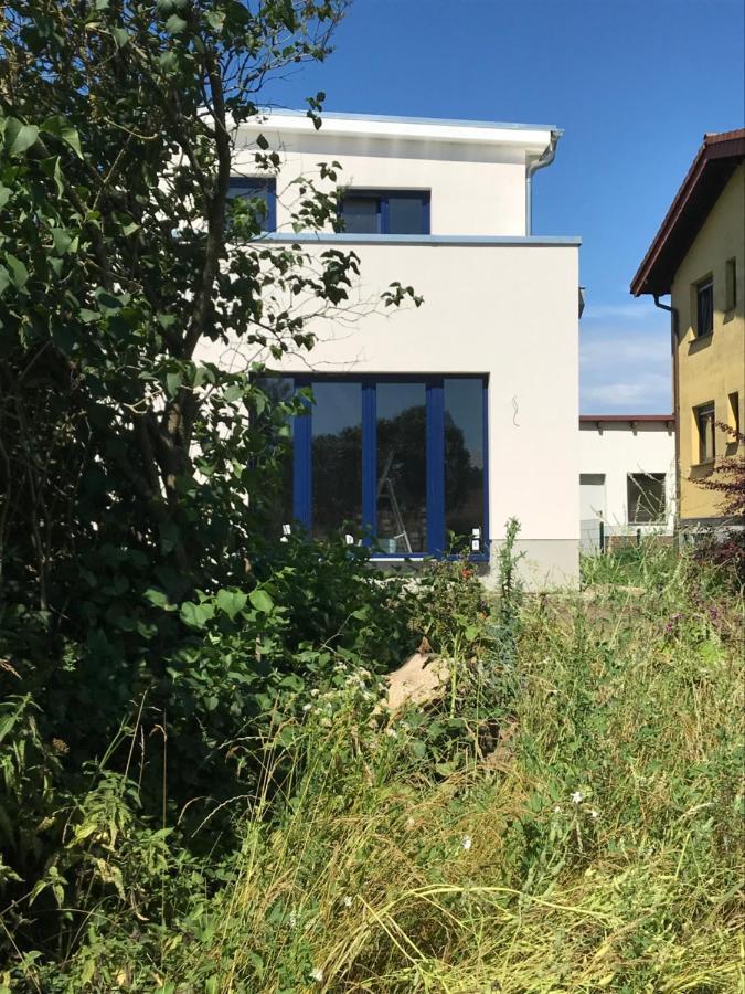 Apartament Hof Uhleck Am Koenigsstuhl Lohme Zewnętrze zdjęcie